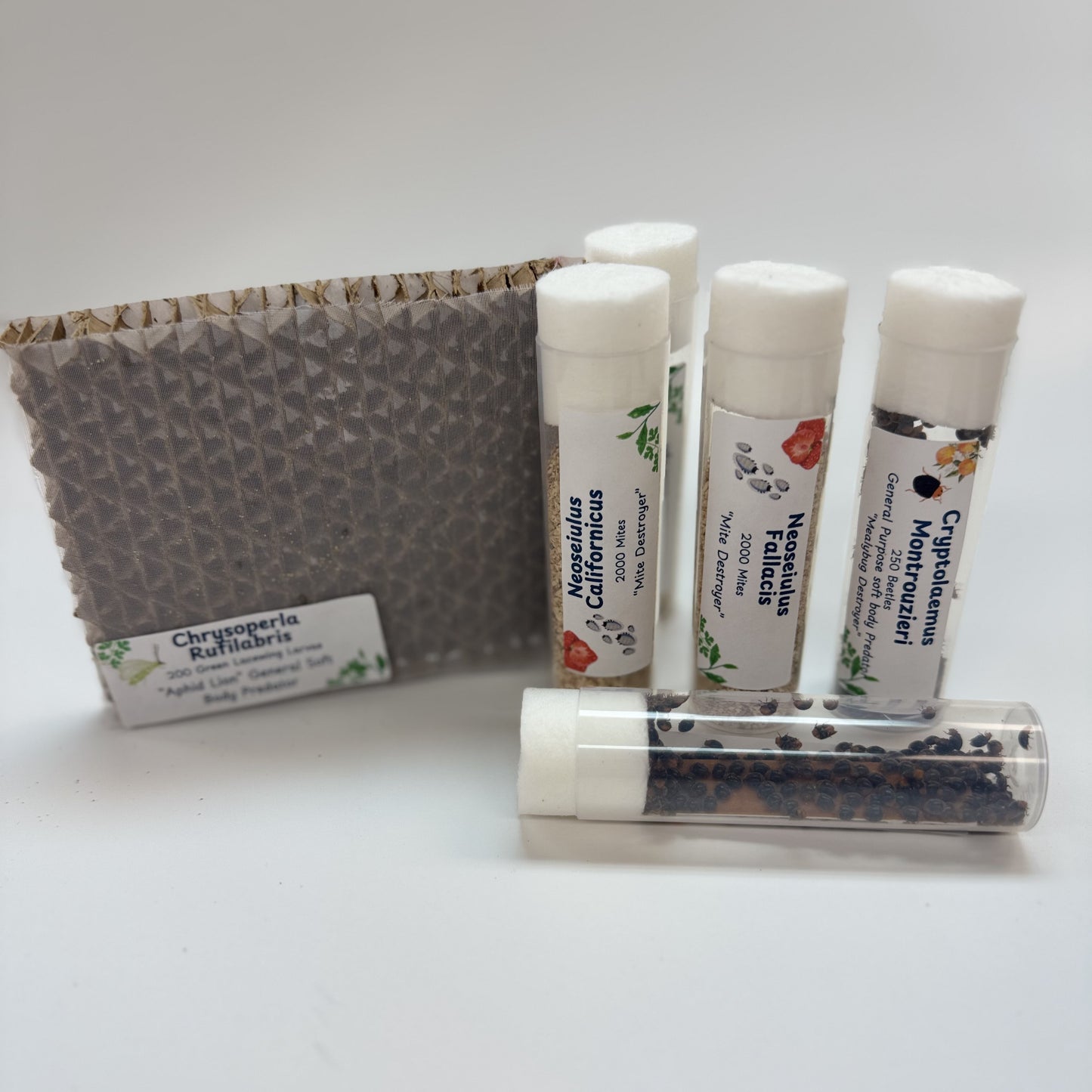 Real Good Bugs Small Growers Box - 1,000 sqft Natural Pest Defense kit