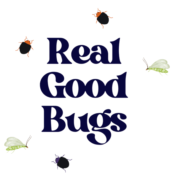 Real Good Bugs